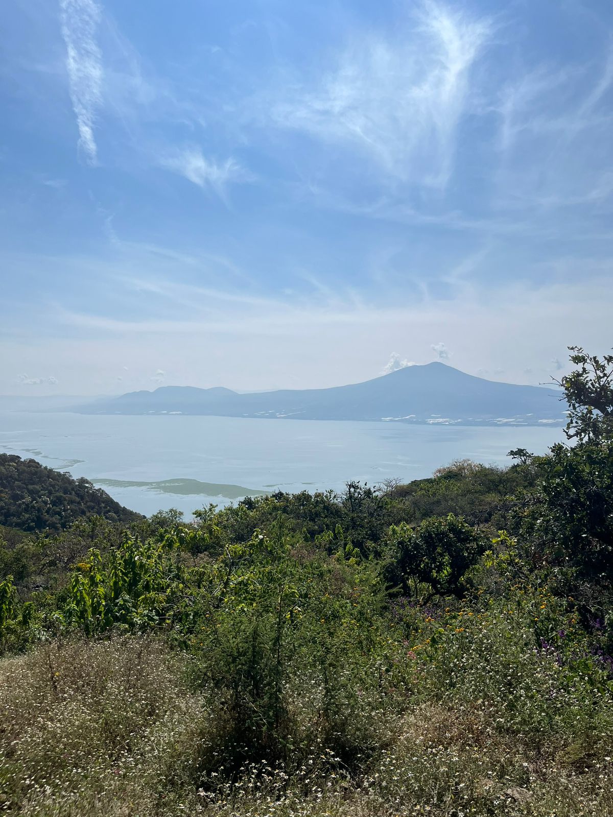Terrenos ecoturísticos Jocotepec